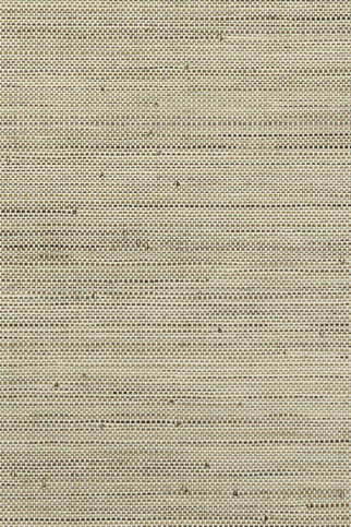 Infini Mushroom Wallpaper by Arte
