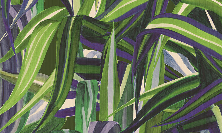 Java Northern Lights by Arte