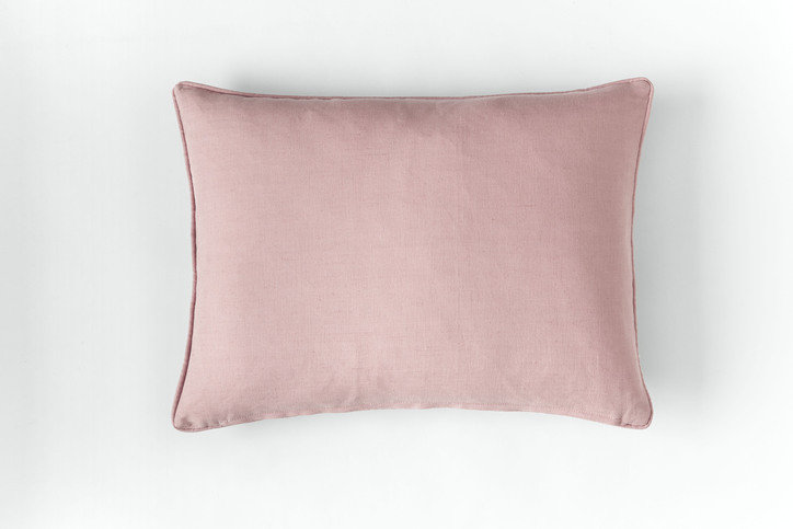 Honey Bees Rose Cushion by Barneby Gates 