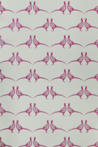 Pheasant Pink Wallpaper by Barneby Gates