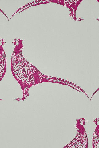 Pheasant Pink Wallpaper by Barneby Gates