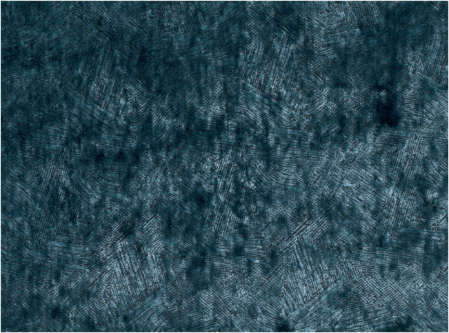 Black Edition Koto Lake Fabric