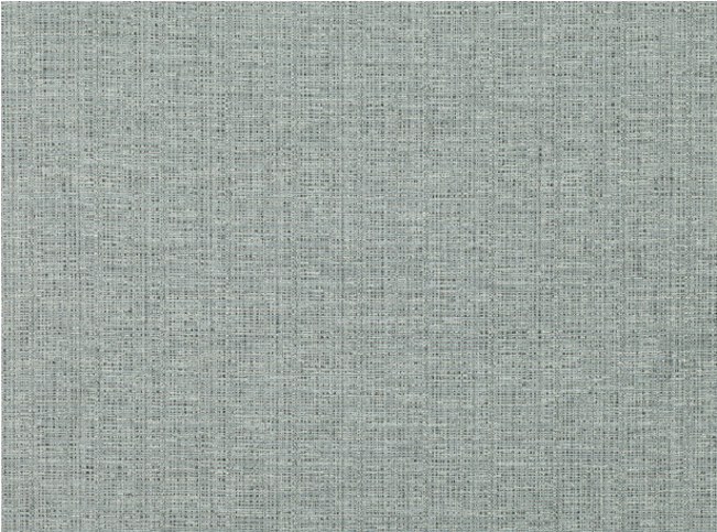 Black Edition Leon Duck Egg Fabric