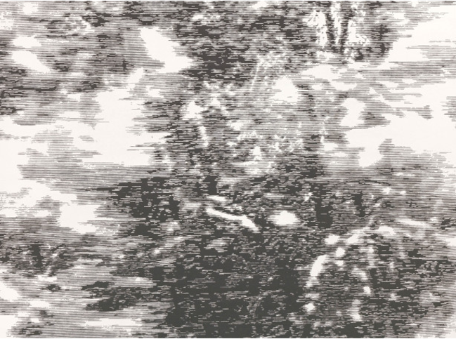 Mitoku Avocet Wallcovering by Black Edition