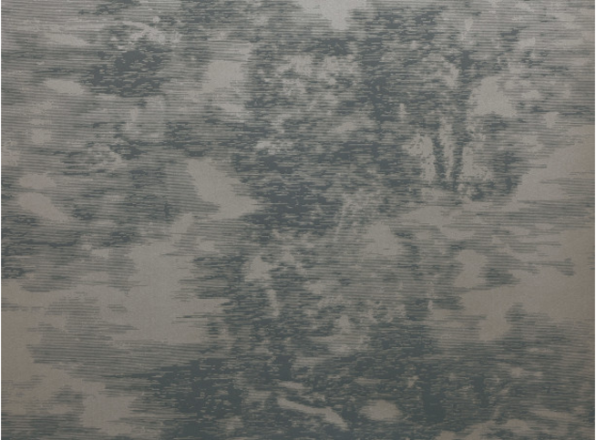 Mitoku Iridum Wallcovering by Black Edition 