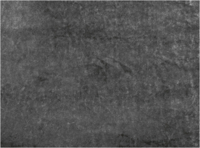 Black Edition Musa Grey Seal Fabric