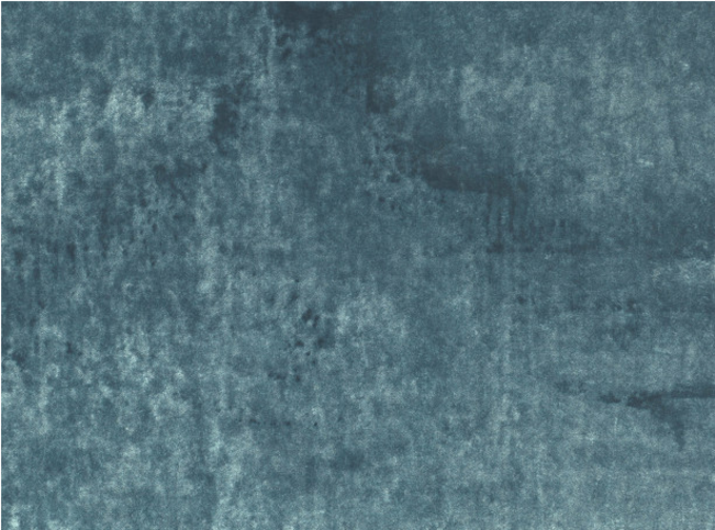 Black Edition Musa Tapestry Fabric