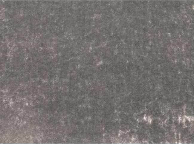 Black Edition Musa Zirconium Fabric