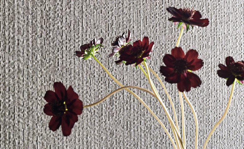 Opus Anthracite Wallcovering by Black Edition