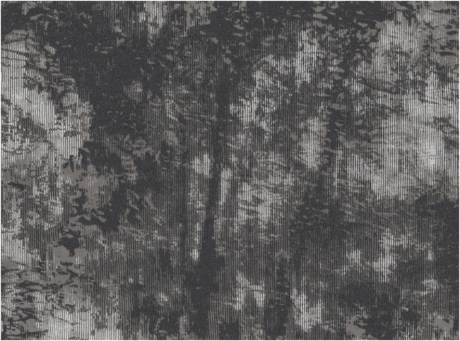 Utsuro Anthracite Wallcovering by Black Edition 