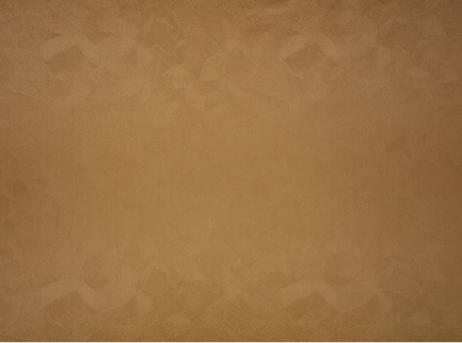 Boa Cumin Fabric by Black Edition