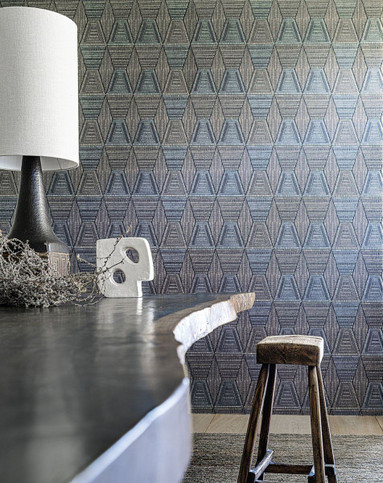 Daia Noir/Givre Wallcovering by Casamance