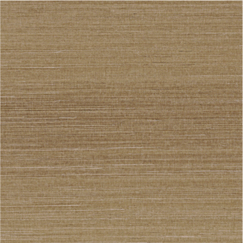 Deserti Cardamone Wallcovering by Casamance