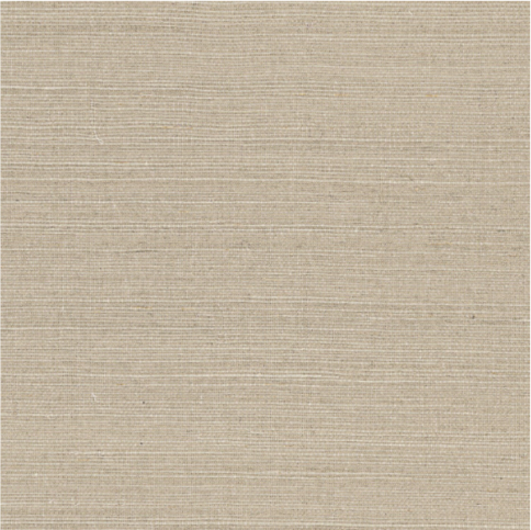 Deserti Grege Wallcovering by Casamance