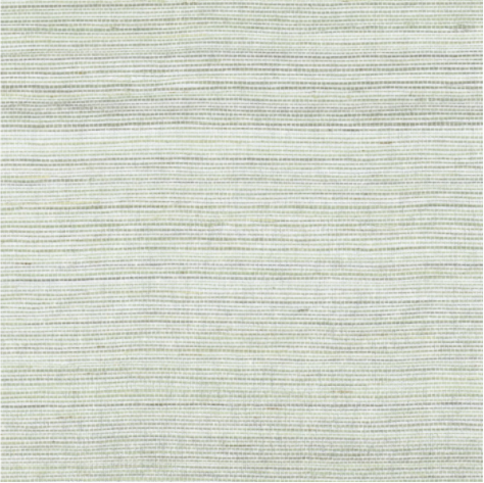 Pencil Bleu Grise Wallcovering by Casamance