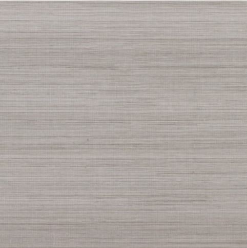 Pencil Gris Clair Wallcovering by Casamance