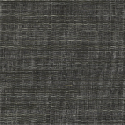 Pencil Noir/Acier Wallcovering by Casamance