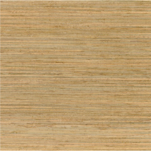 Seagrass Beige Wallcovering by Casamance