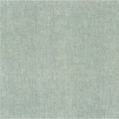 Tenere Celadon Wallcovering by Casamance