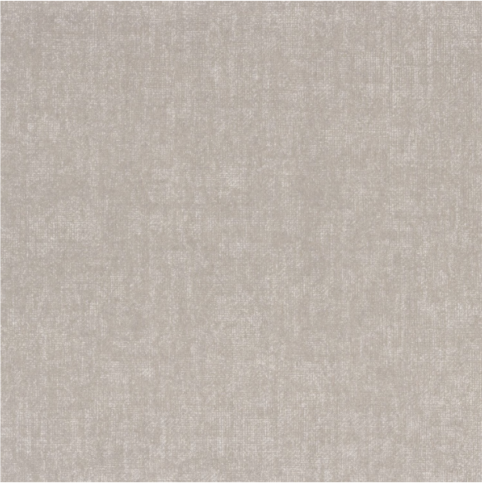 Tenere Gris Cendre Wallcovering by Casamance
