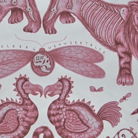 Exinct Magenta Wallcovering by Emma J Shipley for Clarke & Clarke 
