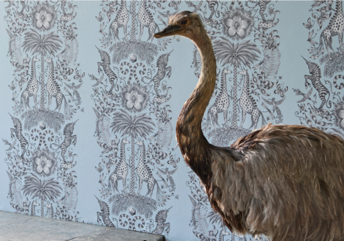 Kruger Eggshell Wallcovering by Emma J Shipley for Clarke & Clarke 