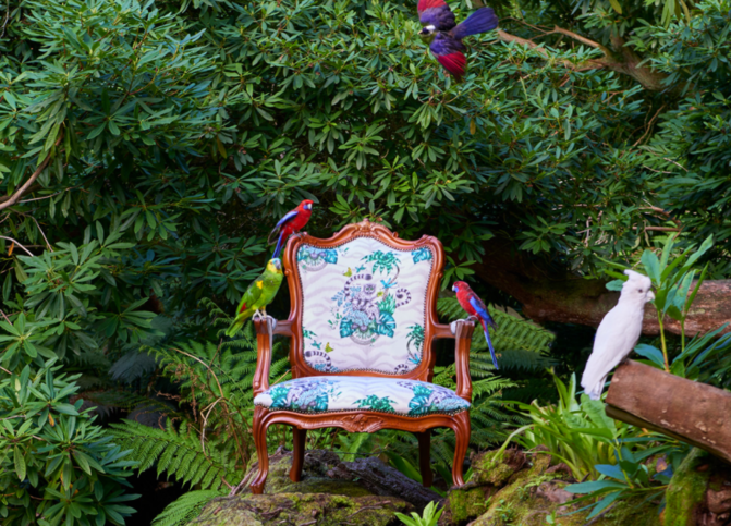 Lemur Jungle Fabric by Emma J Shipley for Clarke & Clarke 