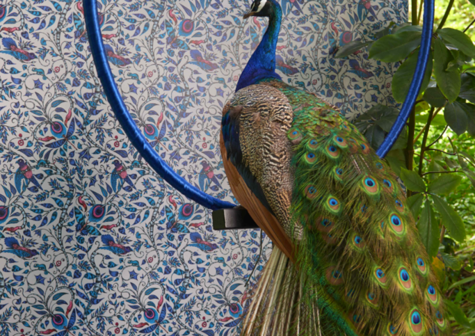 Rousseau Blue Wallcovering by Emma J Shipley for Clarke & Clarke 