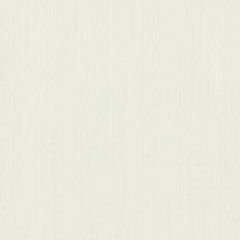 Remo Polar Fabric by Clarke & Clarke 
