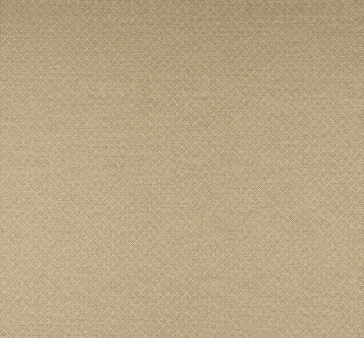 Clancey Beige by Colefax and Fowler