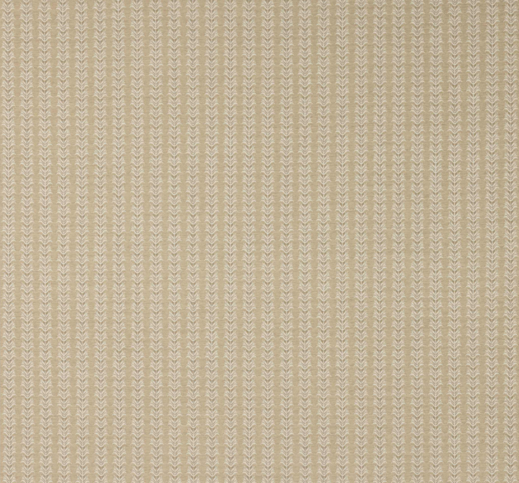 Hampden Beige by Colefax and Fowler