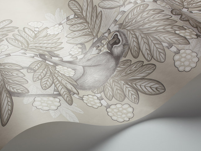 Acacia Stone Wallcovering by Cole & Son 