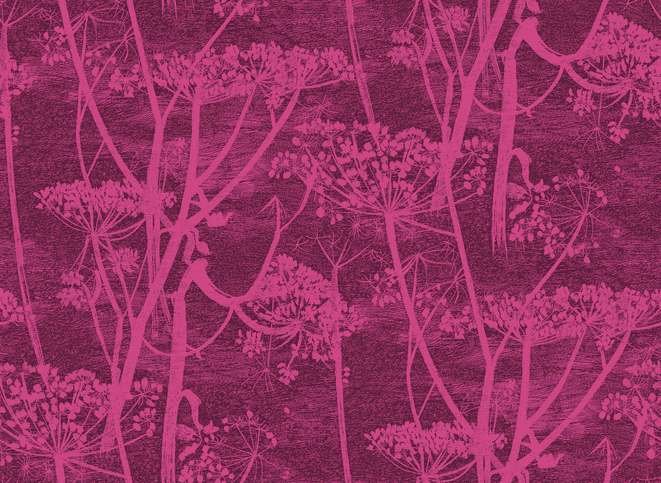 Cow Parsley Velvet Fabric by Cole & Son 