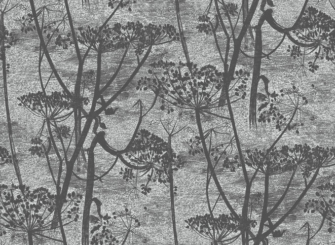 Cow Parsley Wallcovering by Cole & Son 