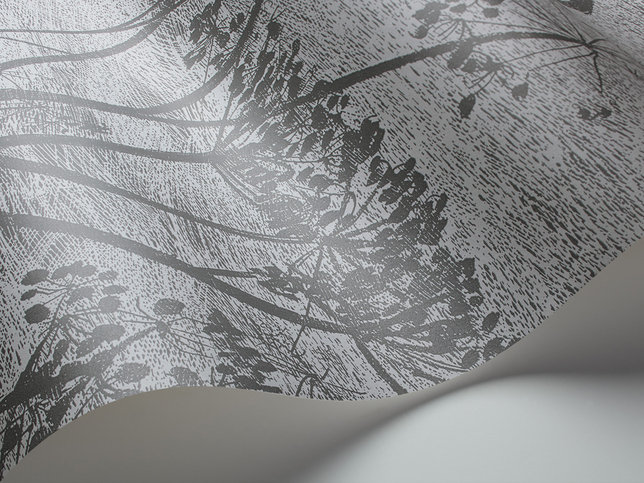Cow Parsley Wallcovering by Cole & Son 