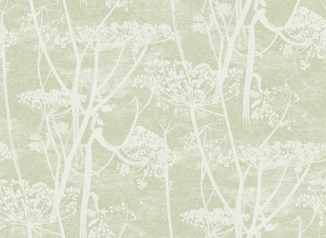 Cow Parsley Wallcovering by Cole & Son 