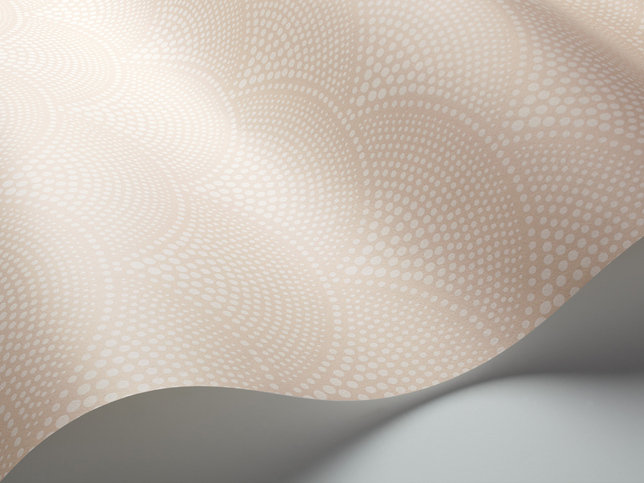 Feather Fan Wallcovering by Cole & Son 