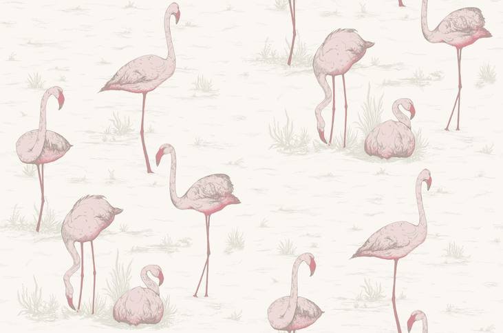Flamingos Wallcovering by Cole & Son