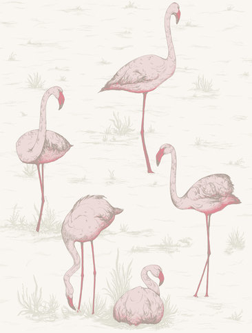 Flamingos Wallcovering by Cole & Son