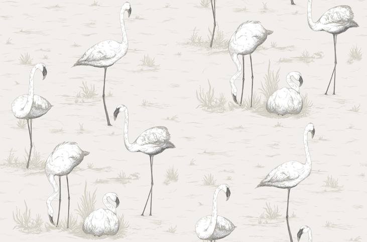 Flamingos Wallcovering by Cole & Son
