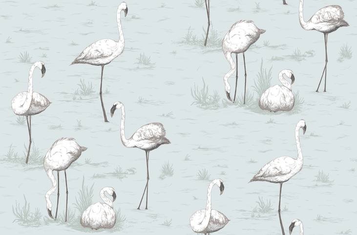 Flamingos Wallcovering by Cole & Son