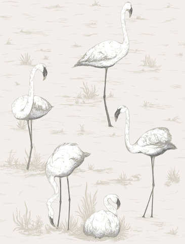 Flamingos Wallcovering by Cole & Son