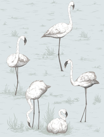 Flamingos Wallcovering by Cole & Son