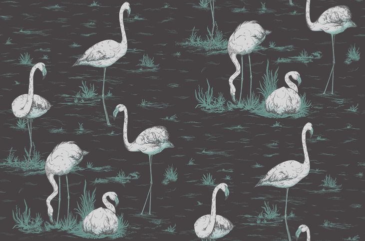 Flamingos Wallcovering by Cole & Son