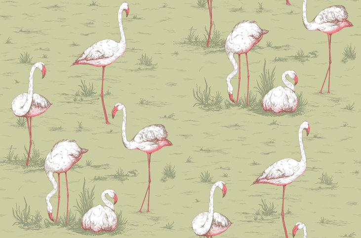 Flamingos Wallcovering by Cole & Son 