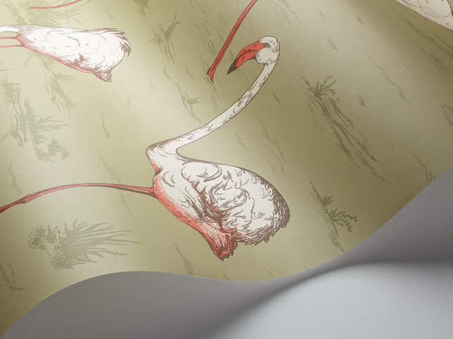 Flamingos Wallcovering by Cole & Son 