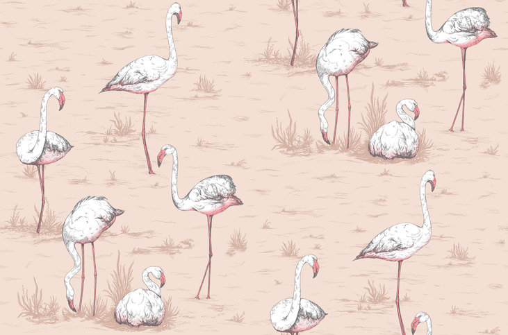 Flamingos Wallcovering by Cole & Son 