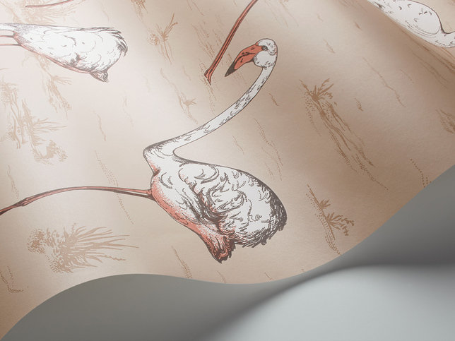Flamingos Wallcovering by Cole & Son 