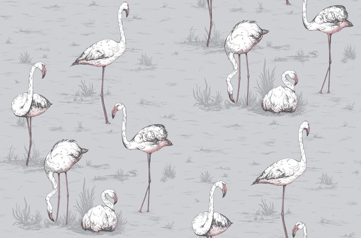 Flamingos Wallcovering by Cole & Son 