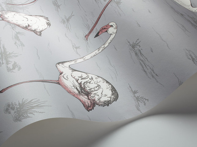 Flamingos Wallcovering by Cole & Son 